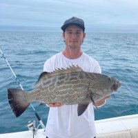 T (@tyler7942992521) 's Twitter Profile