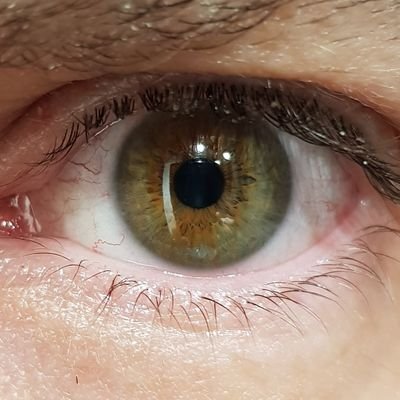 yaguarag's profile picture. PhD Th. Physics, MBA Digital Strategy.
Digital Transformation & Management Consulting
🏳️‍🌈🇺🇳🇪🇺🇨🇵
Sun in aries ♈ Moon in Leo ♌ Rising in Leo ♌