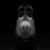 nah (@secrethornyhehe) Twitter profile photo nah (@secrethornyhehe) Twitter profile photo