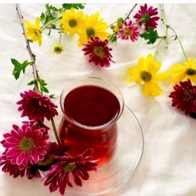 melda00000000's profile picture. 