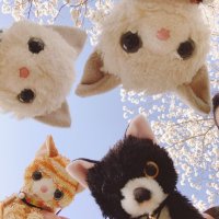 ミラア (@mirror_929ijo) Twitter profile photo