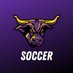 Minnesota State Soccer (@MinnStSoccer) Twitter profile photo