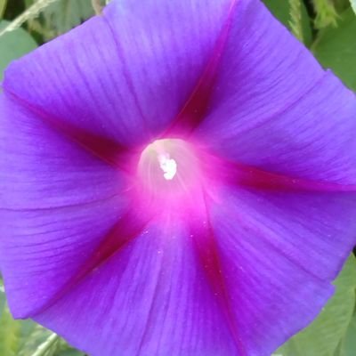 TshililoTshili5's profile picture. truck driver