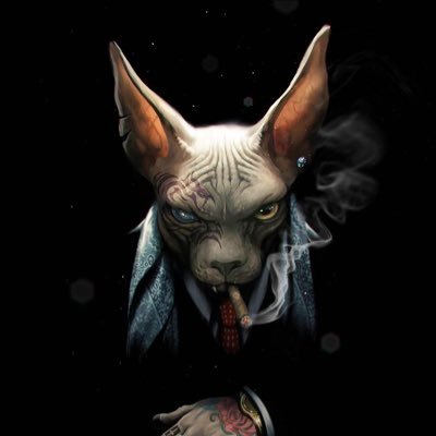 _T965's profile picture. Anonymous