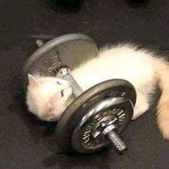 Kyuchan_🖊️さんのプロフィール画像