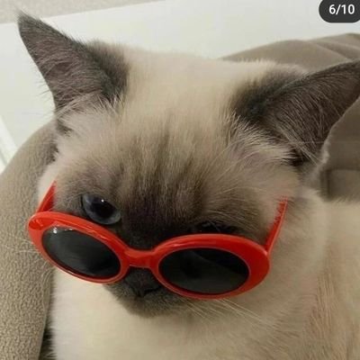 aytenkdgn's profile picture. 