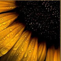 MarlaMe (@marla8580) 's Twitter Profile