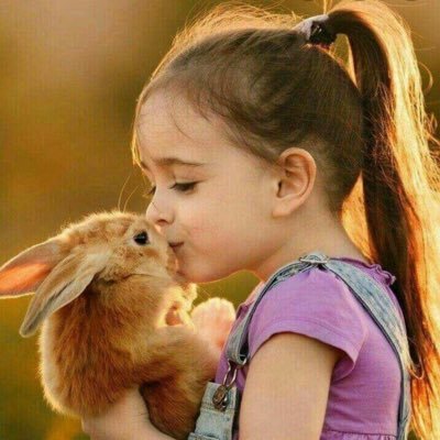 lian20220410's profile picture. 观其不言