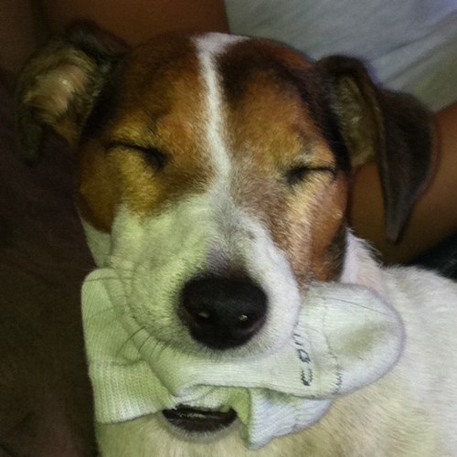 YoerdZ's profile picture. 