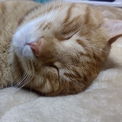 krk358's profile picture. 