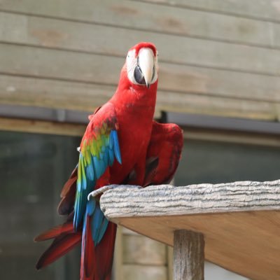 2003_N_uni's profile picture. 日本大学文理学部社会福祉学科です！まだ友達少ないので友達になってくれる方募集中です！よろしくお願いします！