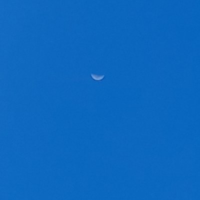 CollieCrispin's profile picture. 