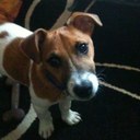 Mark Stoneman - @stonerz1992 - Twitter