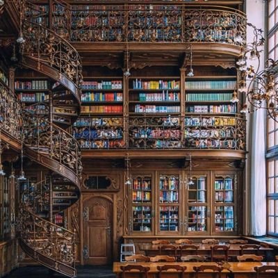 munozdecote's profile picture. La suposición es el origen del fracaso. munozdecote@prodigy.net.mx , sergiodecote@hotmail.com