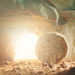 meru3peaks's profile picture. 