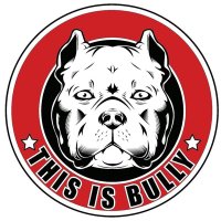 This Is Bully(@thisisbully) 's Twitter Profile Photo