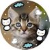 真純 2 【超絶きゃわいいねこたん】 (@pwi4hyjbccwzxby) Twitter profile photo 真純 2 【超絶きゃわいいねこたん】 (@pwi4hyjbccwzxby) Twitter profile photo