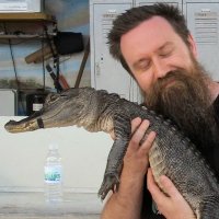 Greg Broadmore (@gregbroadmore) 's Twitter Profile