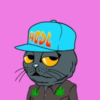 Just Nathan (@nfteth69) 's Twitter Profile