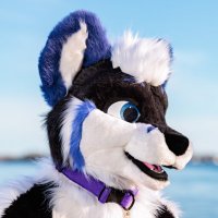 🦊 Iris 🦊 🔜 FWA(@iris_foxxo) 's Twitter Profile Photo