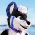๐ฆ Iris ๐ฆ ๐ FWA (@iris_foxxo) Twitter profile photo ๐ฆ Iris ๐ฆ ๐ FWA (@iris_foxxo) Twitter profile photo