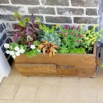 creotop1's profile picture. 木材防腐剤、シロアリ予防駆除剤、木材保護塗料のメーカーです。