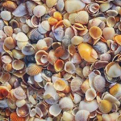 saurav562000's profile picture. I'm a student. 
I live at keshopur in nalanda,Bihar