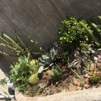 tsitsi (@tsitsi2012) 's Twitter Profile