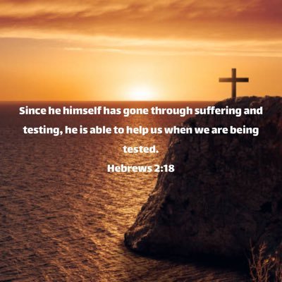 monster_zeke's profile picture. Hail State