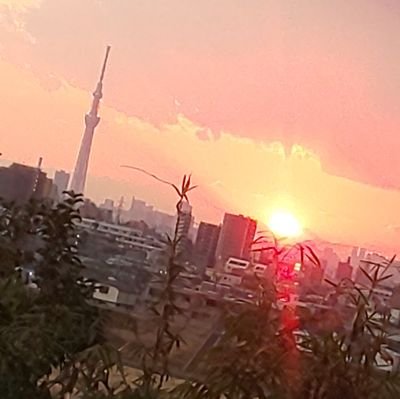 Wak_Mik77's profile picture. 新参の大学生。ちなみに、耳が聞こえません。