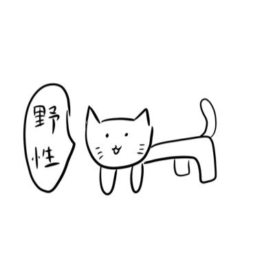 めらにんさんのプロフィール画像