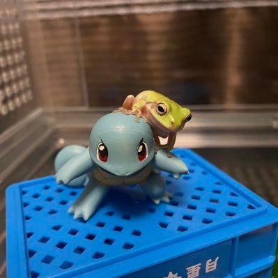 na53325961's profile picture. 爬虫類好きさんよろしくお願いします😳 #つゆちゃん #こうちゃん #えだまめ #そらまめ #ぽんず #がんも #もちきん #ベジータ #おまめ #しゅうまい #ぎょうざ #あかさん #ちょこ #おにぎり #みりん #こんそめ #ちり #ぬお #まさお