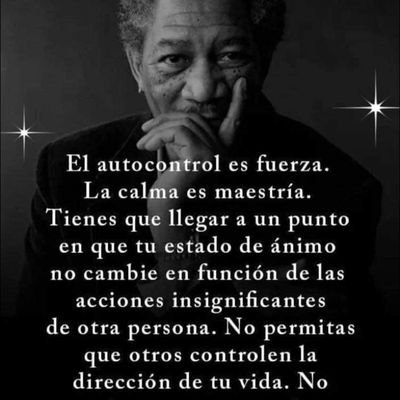 Anxi96689496's profile picture. 1000% obradorista contemplando ala derecha como se desgasta así mismo y desmintiendo las fake news sígueme y te sigo