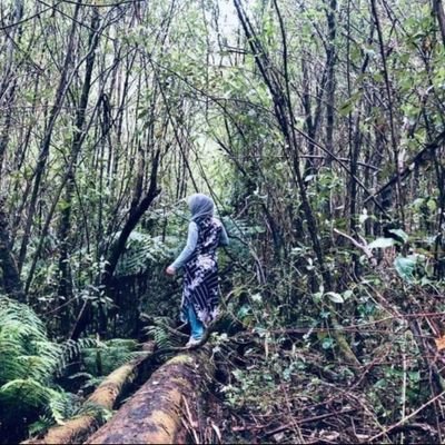 Environmental Science Student at Deakin.
Project Manager of Melbourne Muslimahs registered charity.
Volunteer at WOTCH with threatened species surveys.