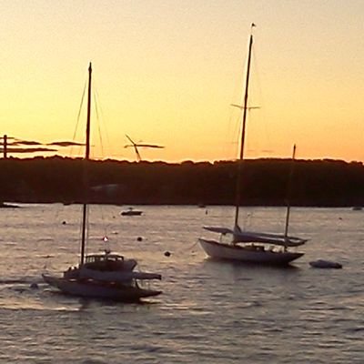 qwerty4life's profile picture. 🌈⚾🇺🇸🐕📽️🫏🌊