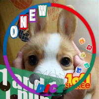 냥꿍a (@hyunjung655) 's Twitter Profile Photo 냥꿍a (@hyunjung655) 's Twitter Profile Photo