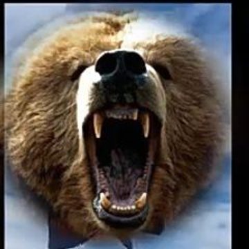 IsraelBomba2's profile picture. 