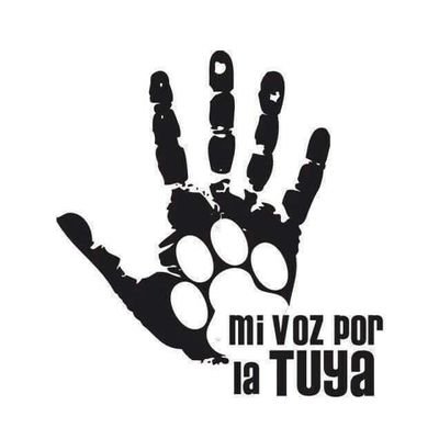 Proyecto sin fines de lucro en Quetzaltenango dedicado al rescate, cuidado y adopción de perros y gatos en situación de calle Ayúdanos a seguir Ayudando!