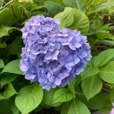 2023年2月中受終了。子どもの手が離れてきたので、そろそろ仕事も頑張らなくては。小さい会社の社長をしています。よろしくお願いします。