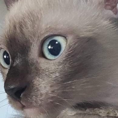 gregor24an's profile picture. 