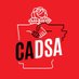 Central Arkansas DSA (@CentralArkDSA) Twitter profile photo