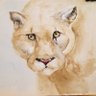 LindaBayless9's profile picture. Retired English teacher, lover of wildlife and wildlife photography. 
 Protect the planet! 💙💚💙💚💙💚