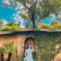Sutter Proffitt (@proffittsutter) 's Twitter Profile
