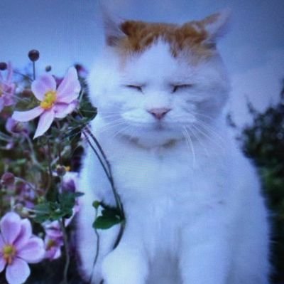 みかさんのプロフィール画像
