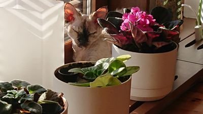 LageT88810806's profile picture. Två ben i backen. Klara åsikter i många saker
Lyssnar på Sabaton, Nightwish, Dragonforce, Band-Maid, Lovebites och många fler.