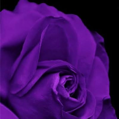 frunersz's profile picture.