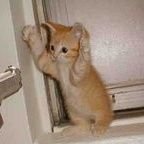 ToniBadea1972's profile picture. Sant bineeee!😁😁