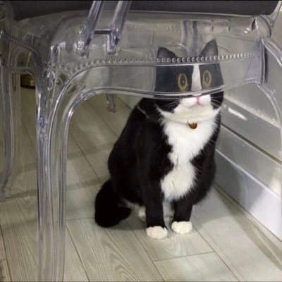 jamfiresupport's profile picture. 이재명의 민주당 지지