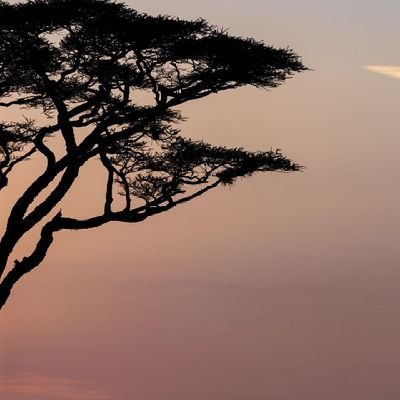 the_onOspro's profile picture. ahyes