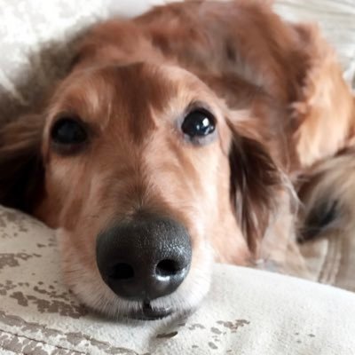 zpIpOpTFIVu8yDP's profile picture. 